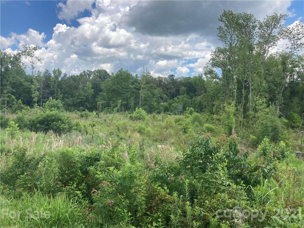 8 Acres Quail Hollow Circle - Photo 1