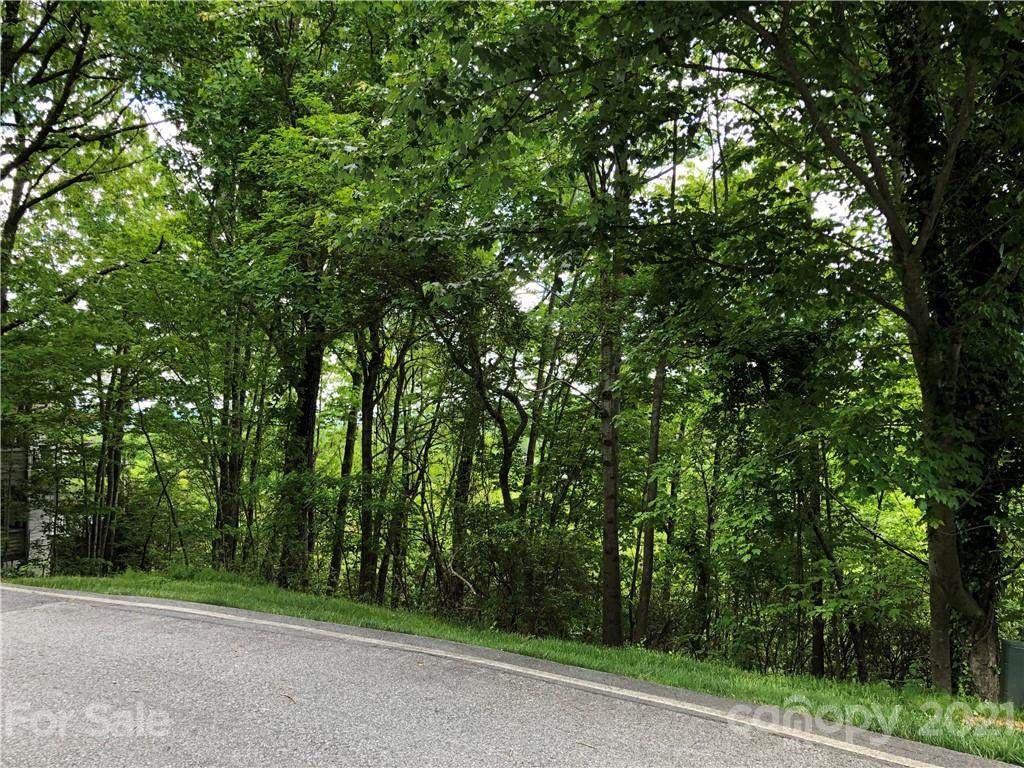 103 Chattooga Run - Photo 1