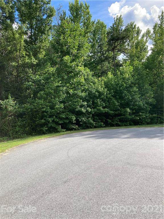 0000 Cedar Hill Drive - Photo 1