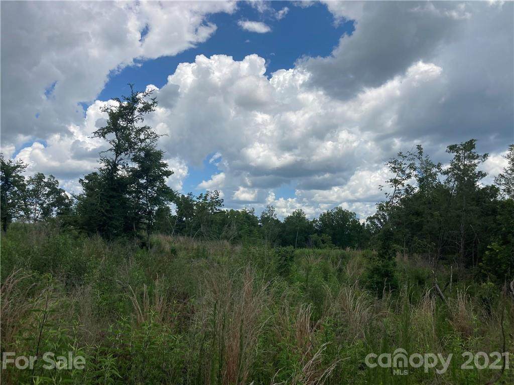 Lot 4 Quail Hollow Circle - Photo 1