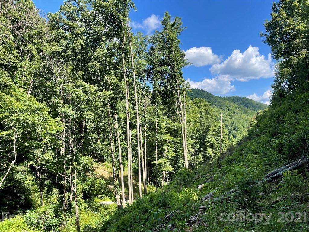 99 Wooded Mountain Trail - Photo 1