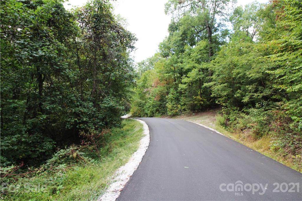 LOT 1013 Wolf Pen Road - Photo 1