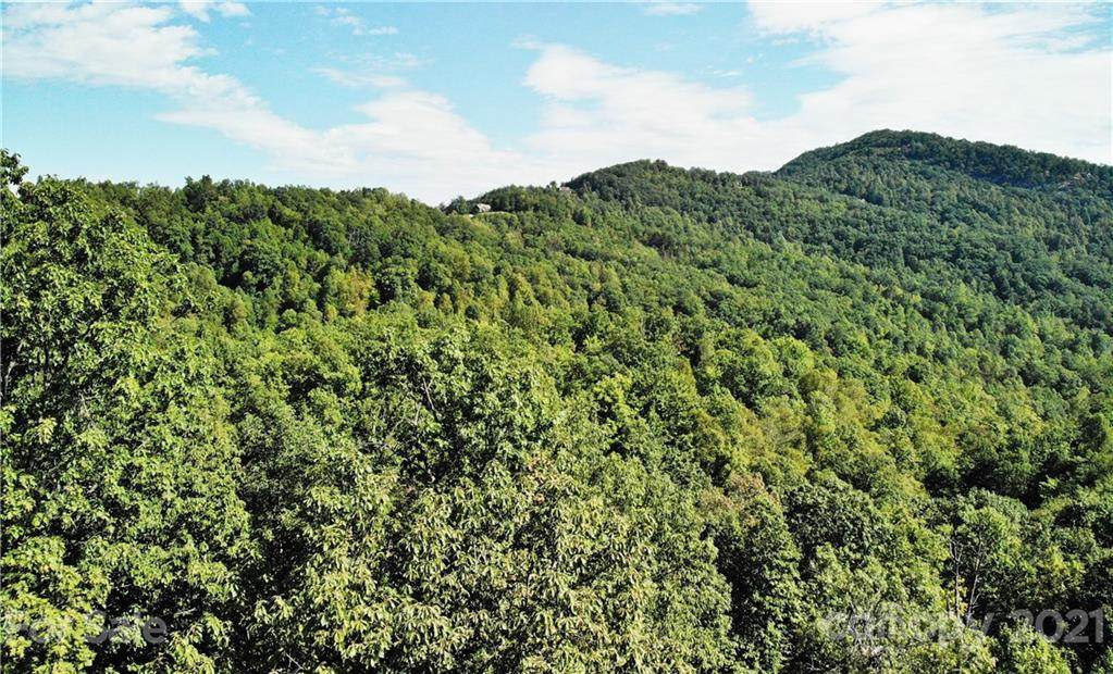 LOT 23C Deer Walk - Photo 1