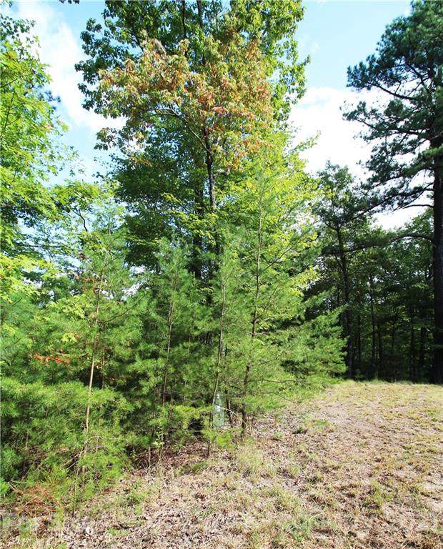 LOT 313 Wild Cherry Lane - Photo 1