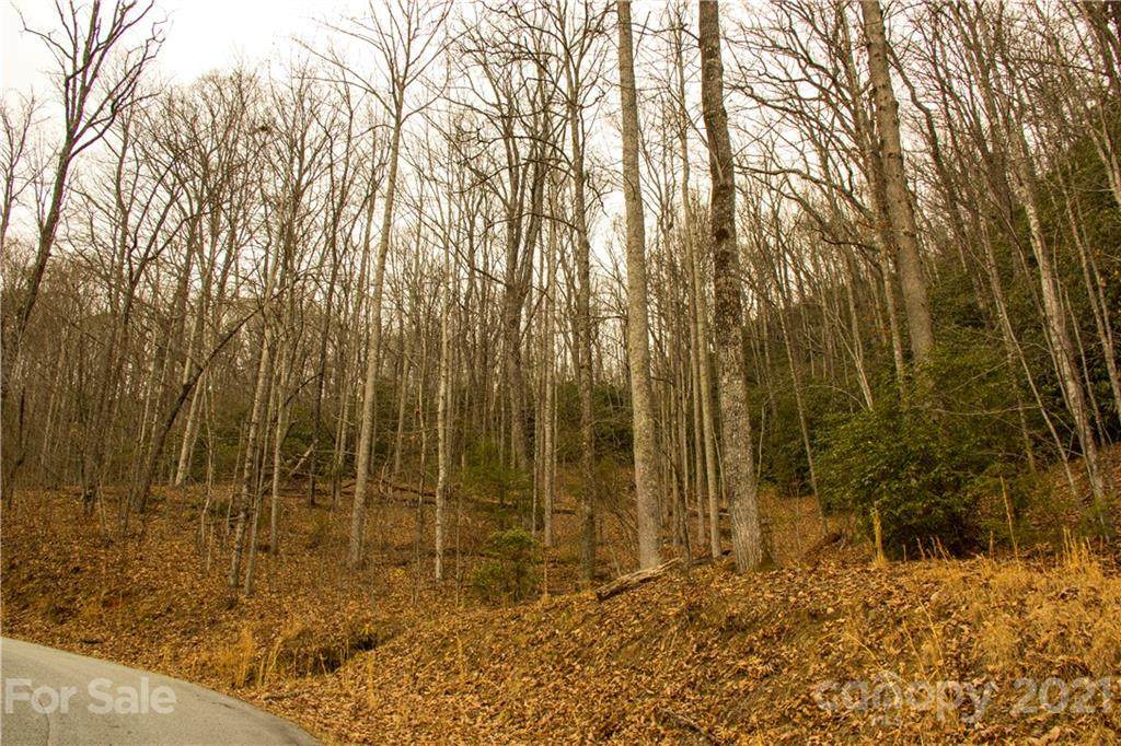 72 Sandy Lane - Photo 1
