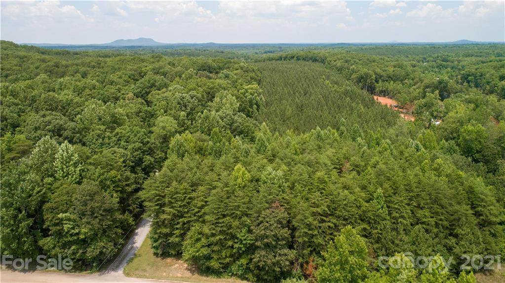 0000 45+/- Acres Laurelwood Drive - Photo 1