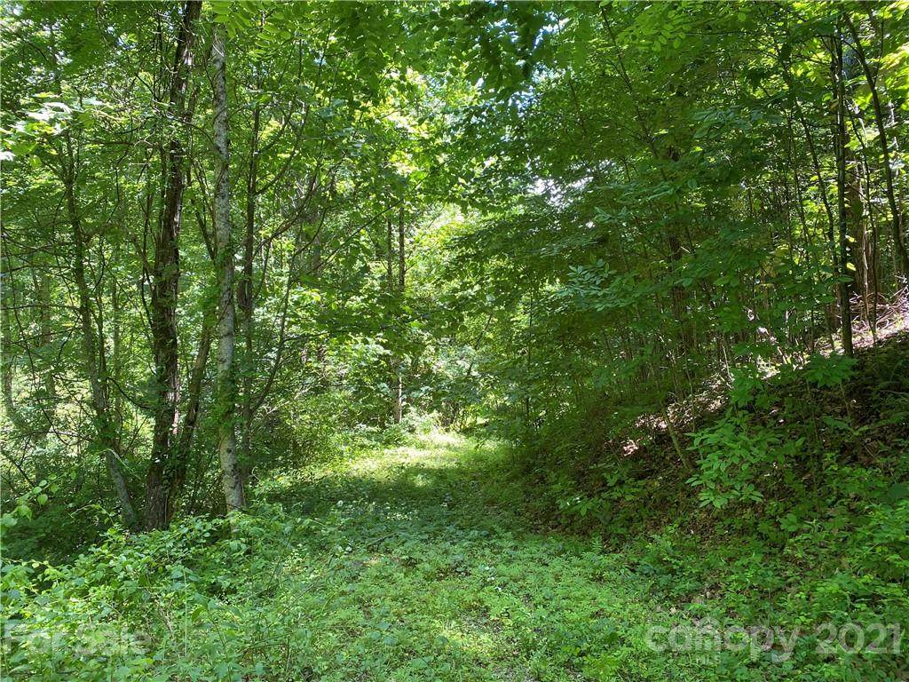 000 Chattooga Run - Photo 1