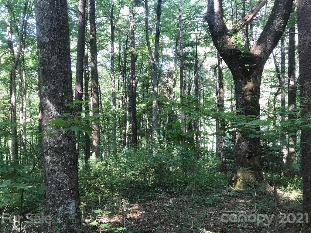 TBD Severly Lane - Photo 1