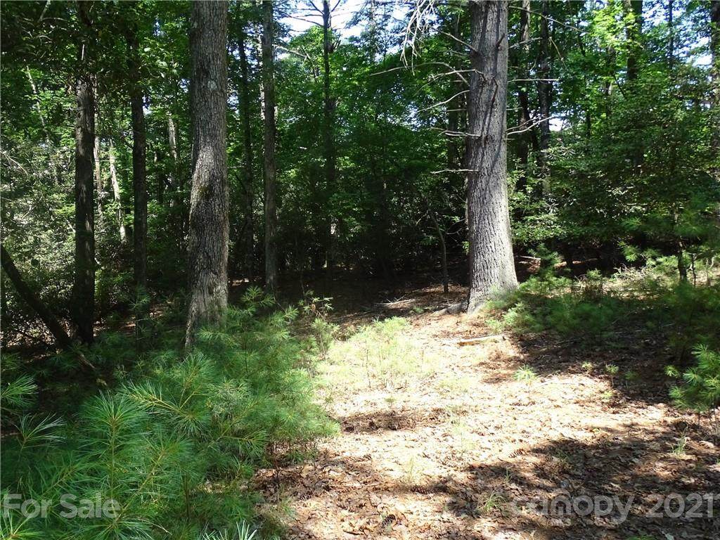 9999 Campbell Drive - Photo 1