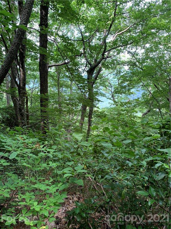 TBD Braves Knob Road - Photo 1