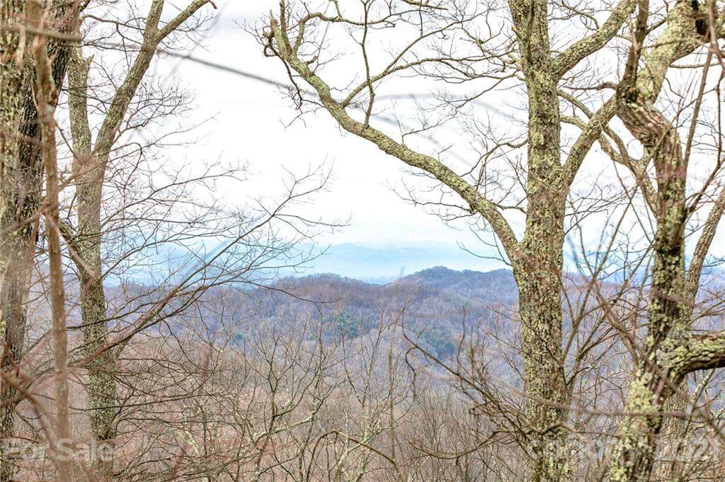 Lot 15 Ball Hooter Drive - Photo 1