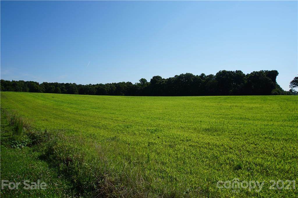 00000 Roanoke Church Road - Photo 1