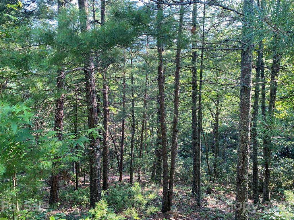 TBD High Mountain Road - Photo 1