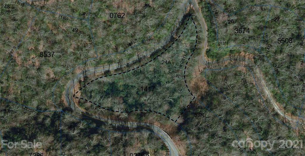 Lot 24A Pisgah Forest Drive - Photo 1