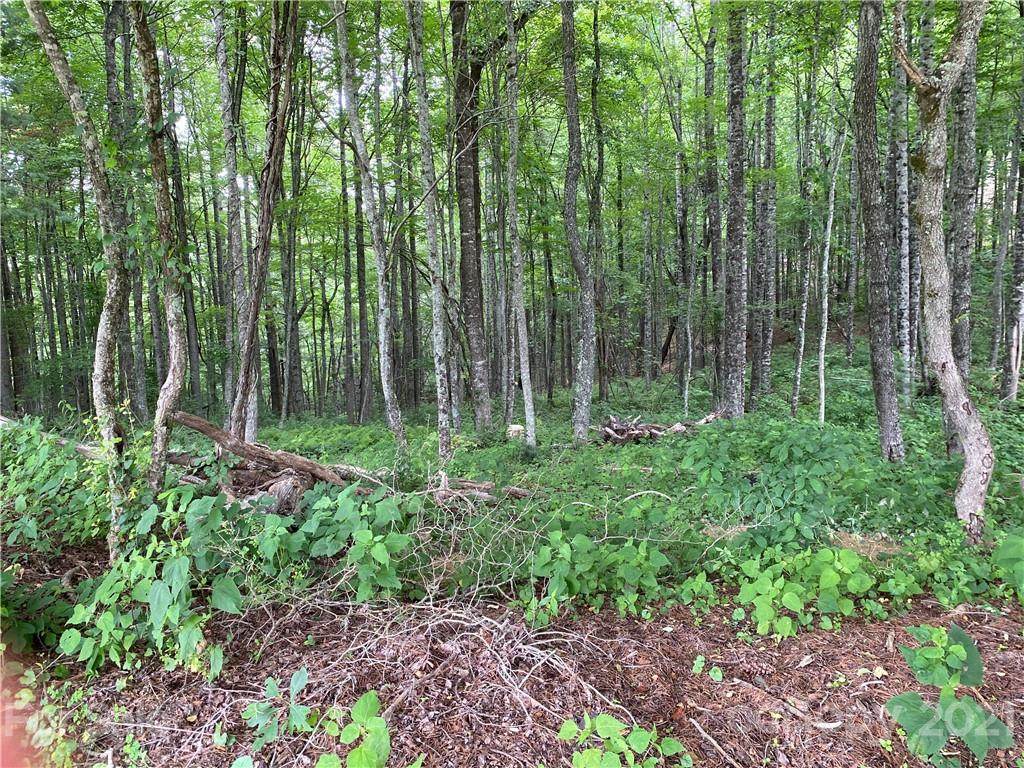 000 Overlook Drive - Photo 1