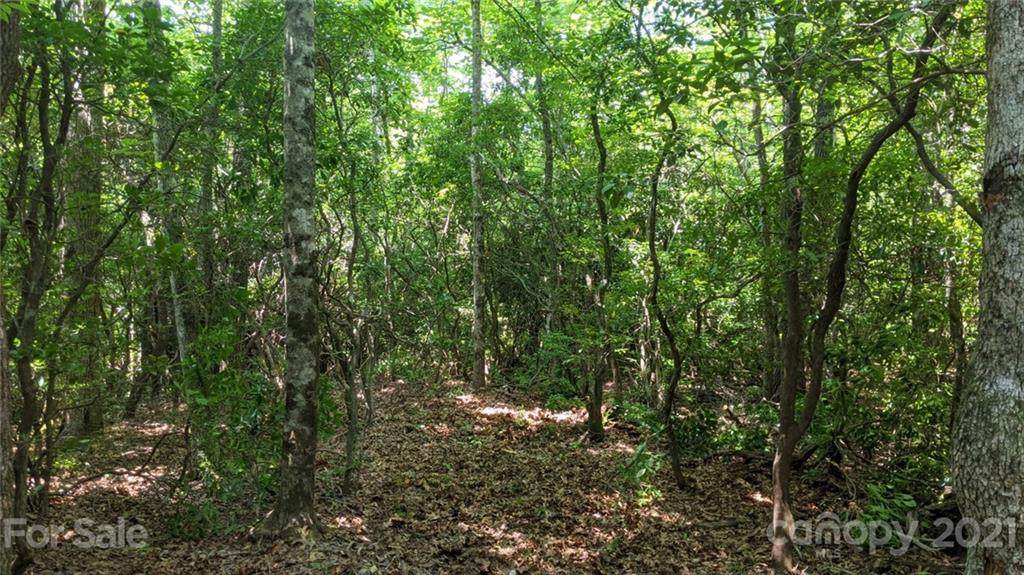 20.5 Acres Old Fort Road - Photo 1
