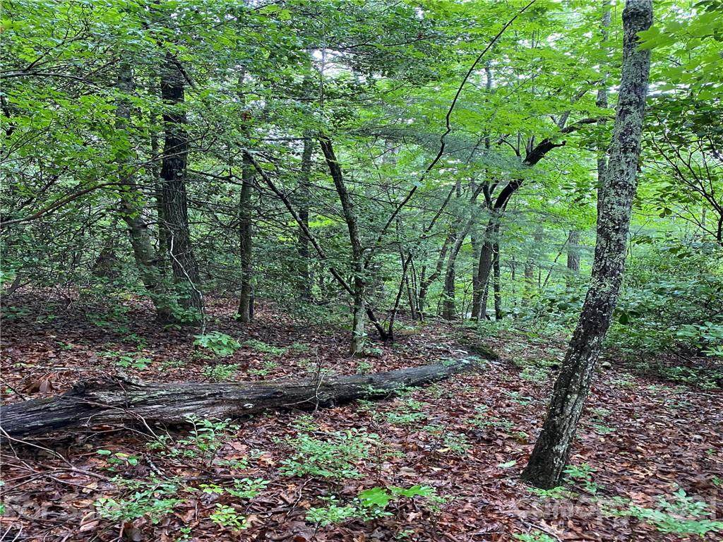 12B Dogwood Circle - Photo 1