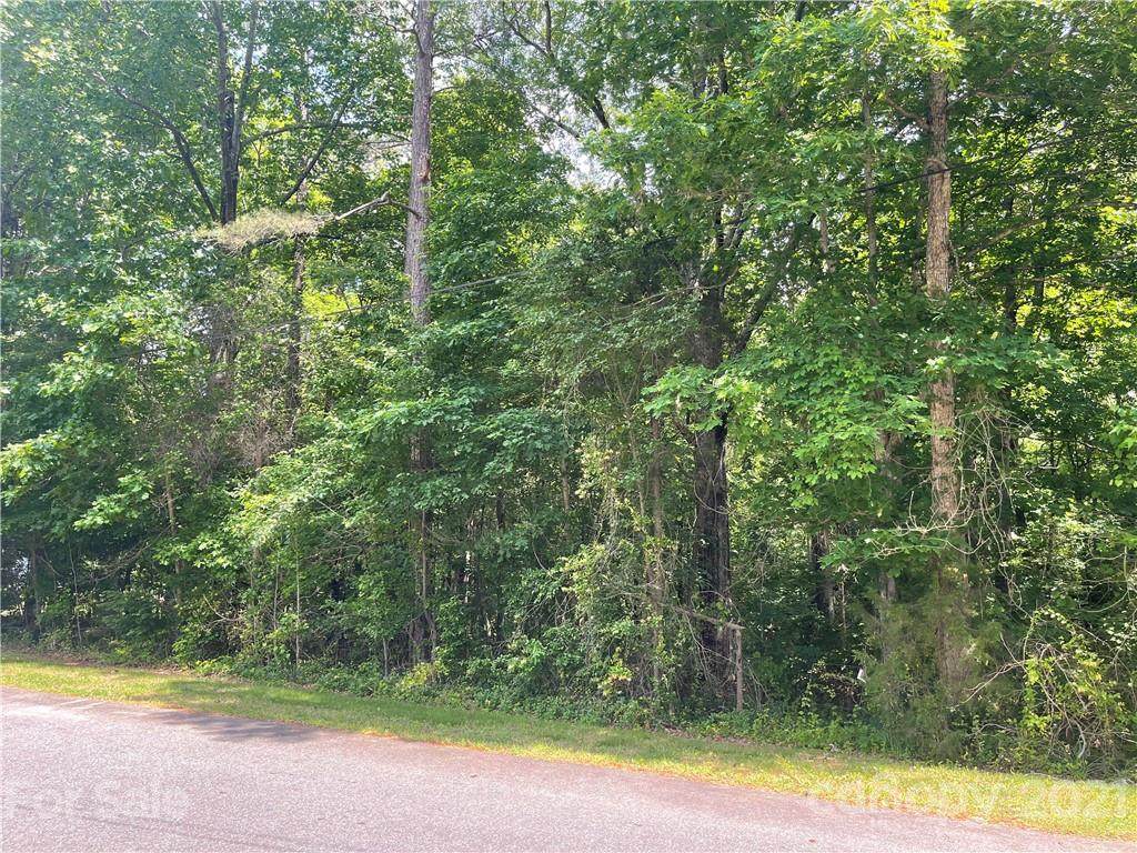 535 Gingles Farm Trail - Photo 1