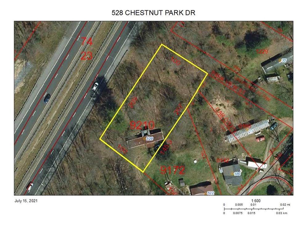 528 Chestnut Park Drive - Photo 1