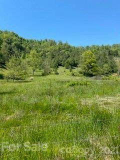 000 Buckskin Drive - Photo 1