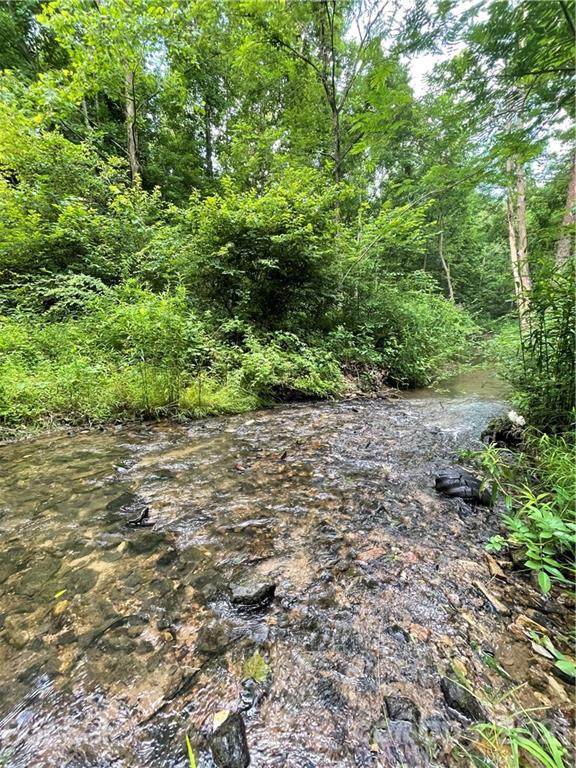 V/L Zacks Fork Road - Photo 1