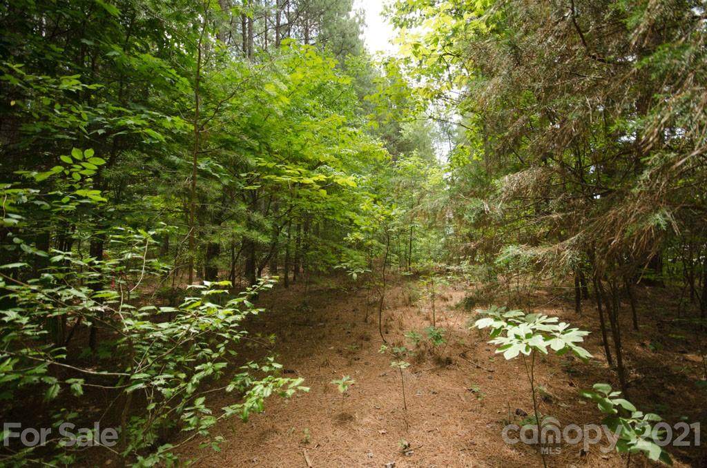 Lot 1 Lee Lawing Road - Photo 1