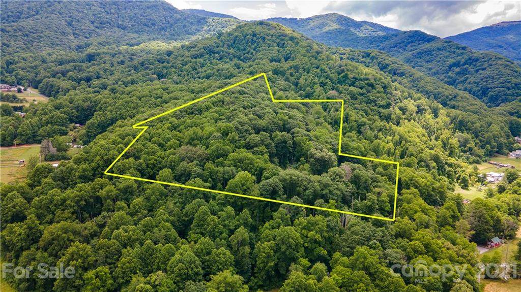 TBD Hemphill Road - Photo 1