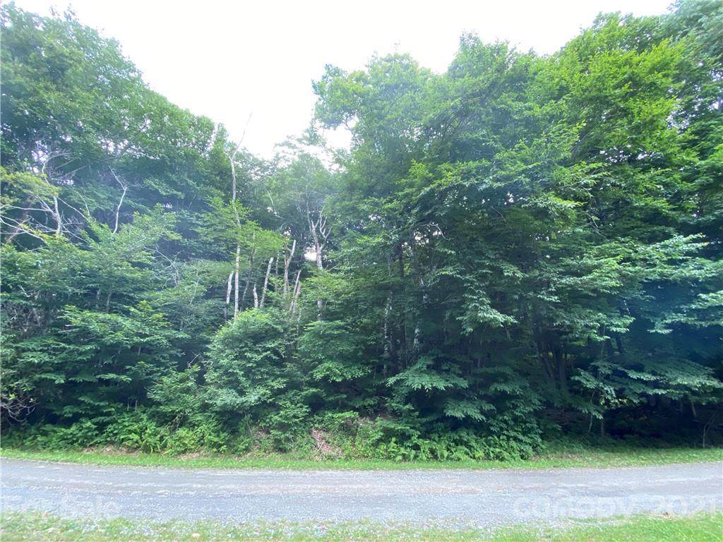 TBD Mcdaris Loop - Photo 1