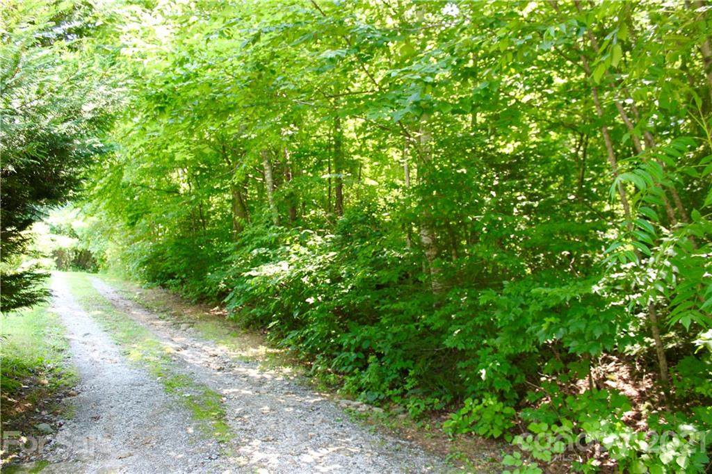TBD Stoneledge Road - Photo 1
