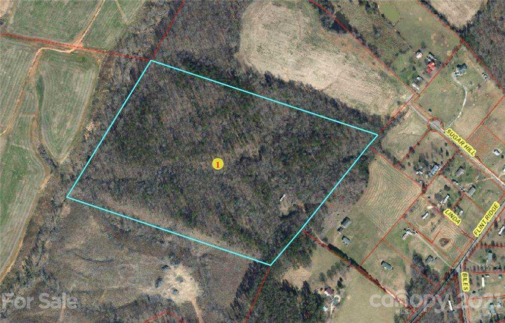28569 Flint Ridge Road - Photo 1
