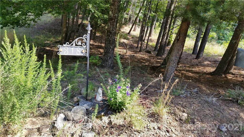 318 Arbra Mountain Way - Photo 1