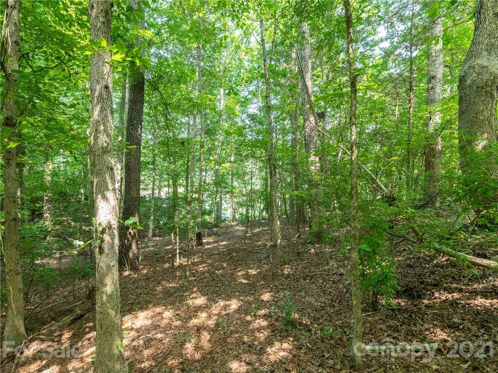 2908 Lake Wylie Drive - Photo 1