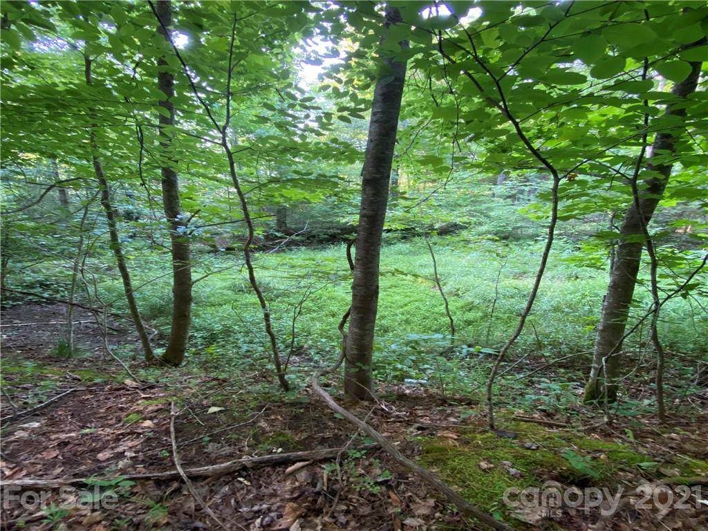 U 8 Blueberry Hill Road - Photo 1