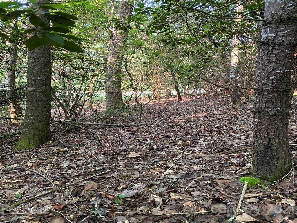 U 9 Blueberry Hill Road - Photo 1