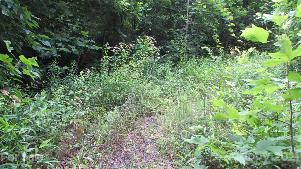 00 Mckinney Mine Road - Photo 1