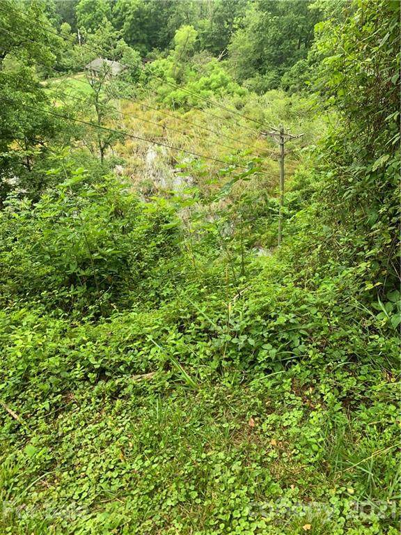 357 West Fork Loop - Photo 1