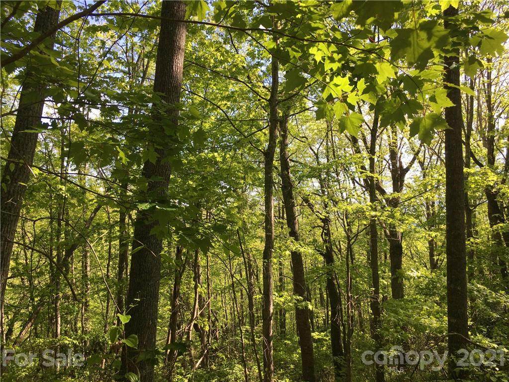 74 Frank Davis Road - Photo 1