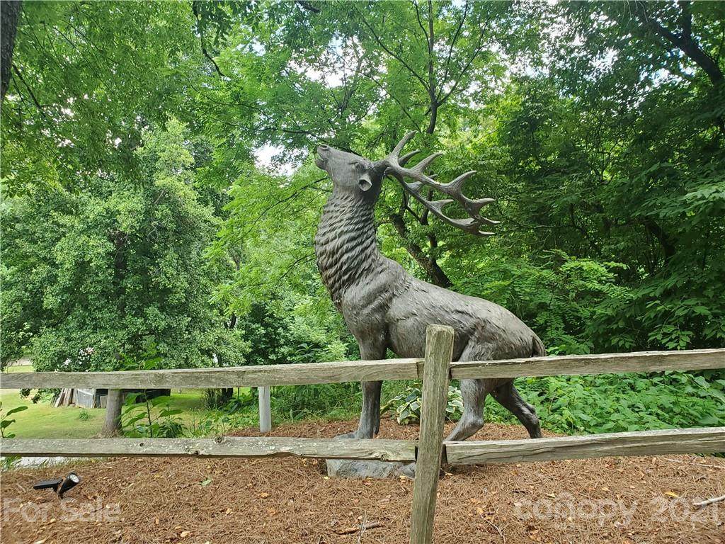 Lot 14 Katua Trail - Photo 1
