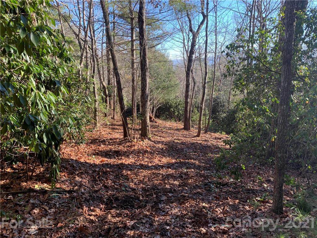 17A Hawkins Hollow Road - Photo 1