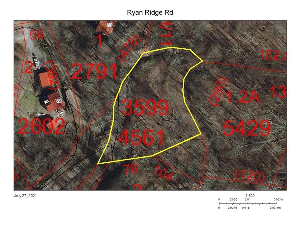TBD Ryan Ridge Road - Photo 1