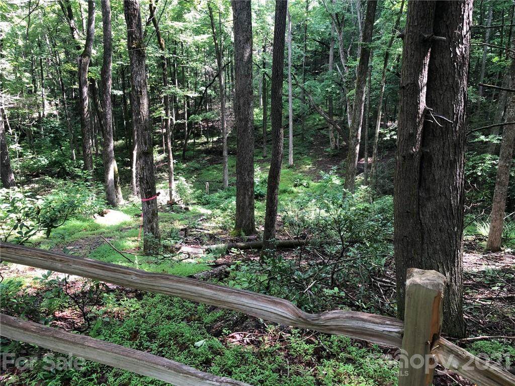 0 Linden Place - Photo 1