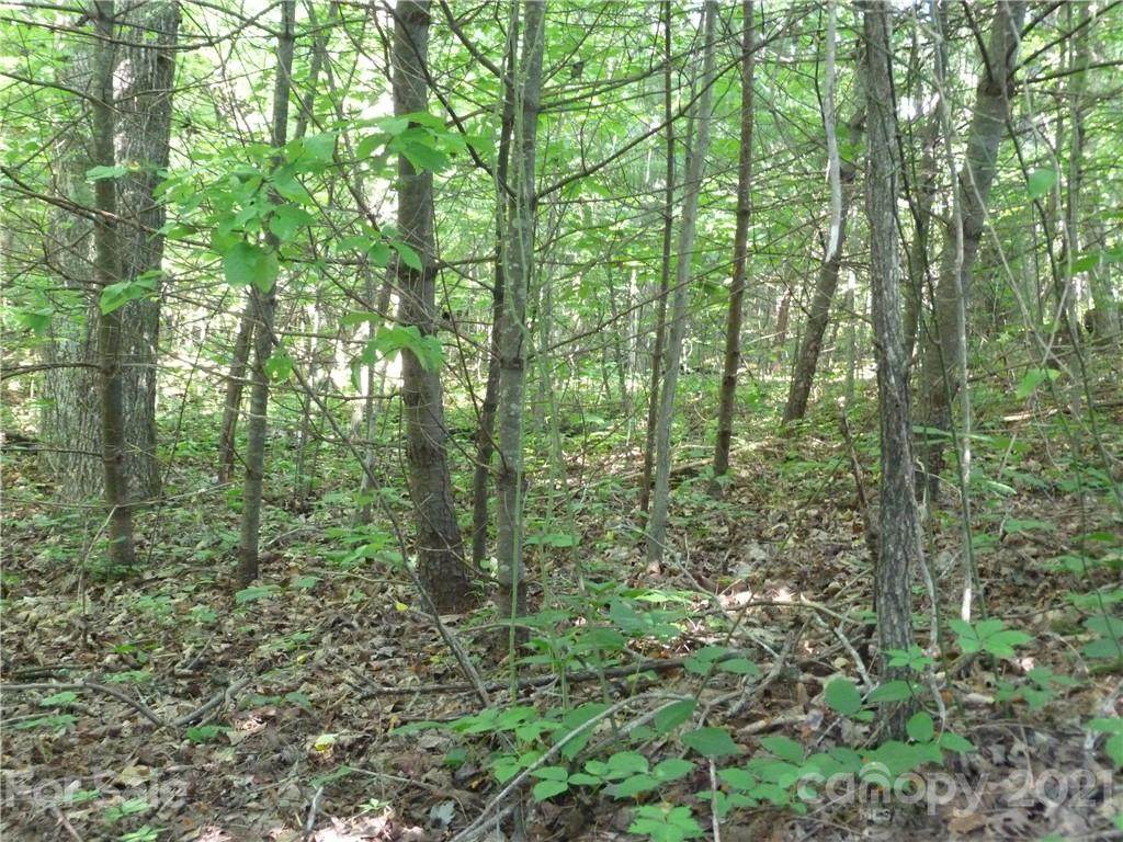 203 Bent Pine Trace - Photo 1