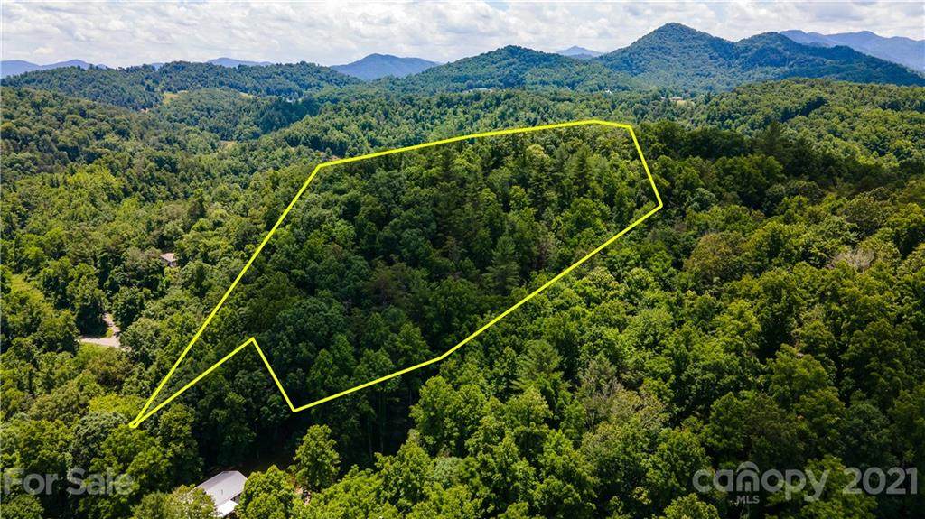 TBD Meadows Town Road - Photo 1