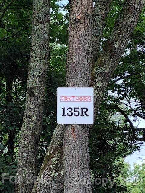 135R Firethorn Trail - Photo 1
