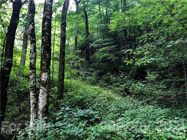 00 Bear Track Run - Photo 1