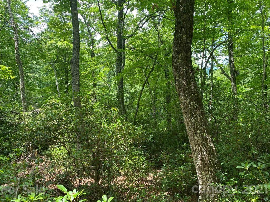 V/L Lytle Mountain Road - Photo 1