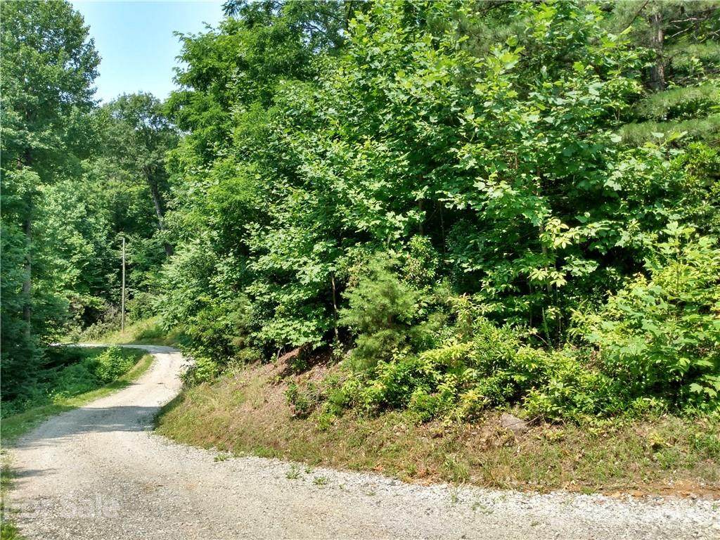 704 Rhododendron Drive - Photo 1