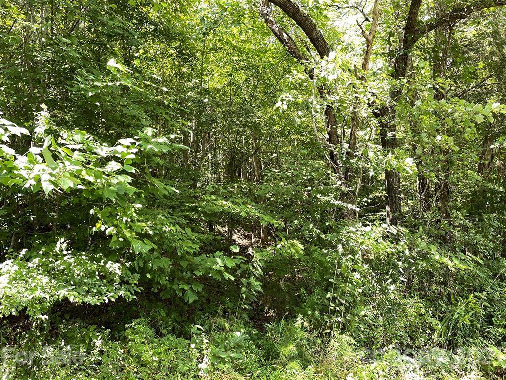 704 Centennial Road - Photo 1