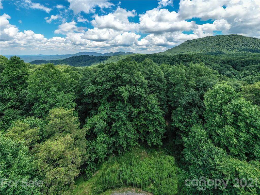 99999 Laurel Mountain Trail - Photo 1