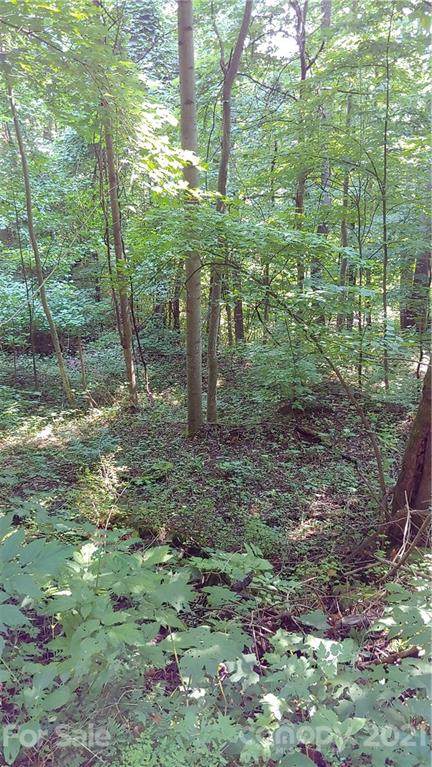 8 Buckeye Road - Photo 1